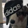 tagget7