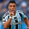 lucas.carreiras7