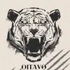Oitavo ano