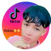 el.flakito040