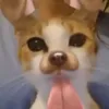 jpiter_.saezz