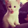 aliaslvewh6