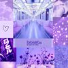 lilly_huff0516