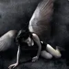 ..little_pink.0