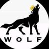 mr_wolf_497