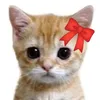 eloa_amy
