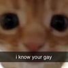 kitcat10947