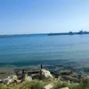 daisi33