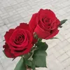 kurdstan.072