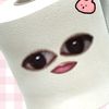 bintavers_anr