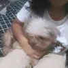 cessaxzbacazee
