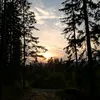 tove_2025