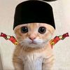 rehan_23982