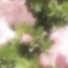 7k_tefiti