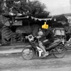 zalo0965554360hpthinh
