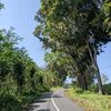 wongasikk123