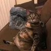 tp.snikers