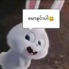 sithuzaw567