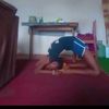 flexiblevivian1
