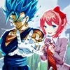 direx_sw