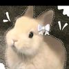 bantu_folow_sampe500_pls