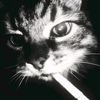 .farr07_