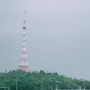 Quảng Đà Smile