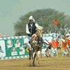 syed.faizan.ali.s10