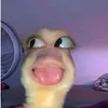 c1traa_4