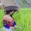nkj.li5