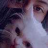 catooooo511