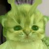 soft_cookieesss