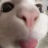 bkaaadf