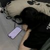 monaa_135