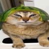 eximperituserqethhzebirg