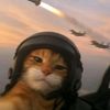 arya_4aa