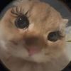 ekekekat