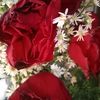 mawarmerah_176