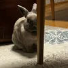 lilbun76