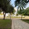 saherfawzy326