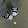 aseel_2011a