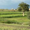 algnoobe92