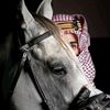 jehad.ali228