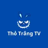 Thỏ Trắng TV