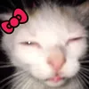 opseanainha