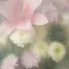 _enhyx