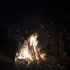 oreocrumbbs1