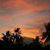 sifa.sayfira