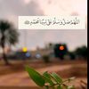 Abu Ibrahim