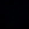 wssl_93z